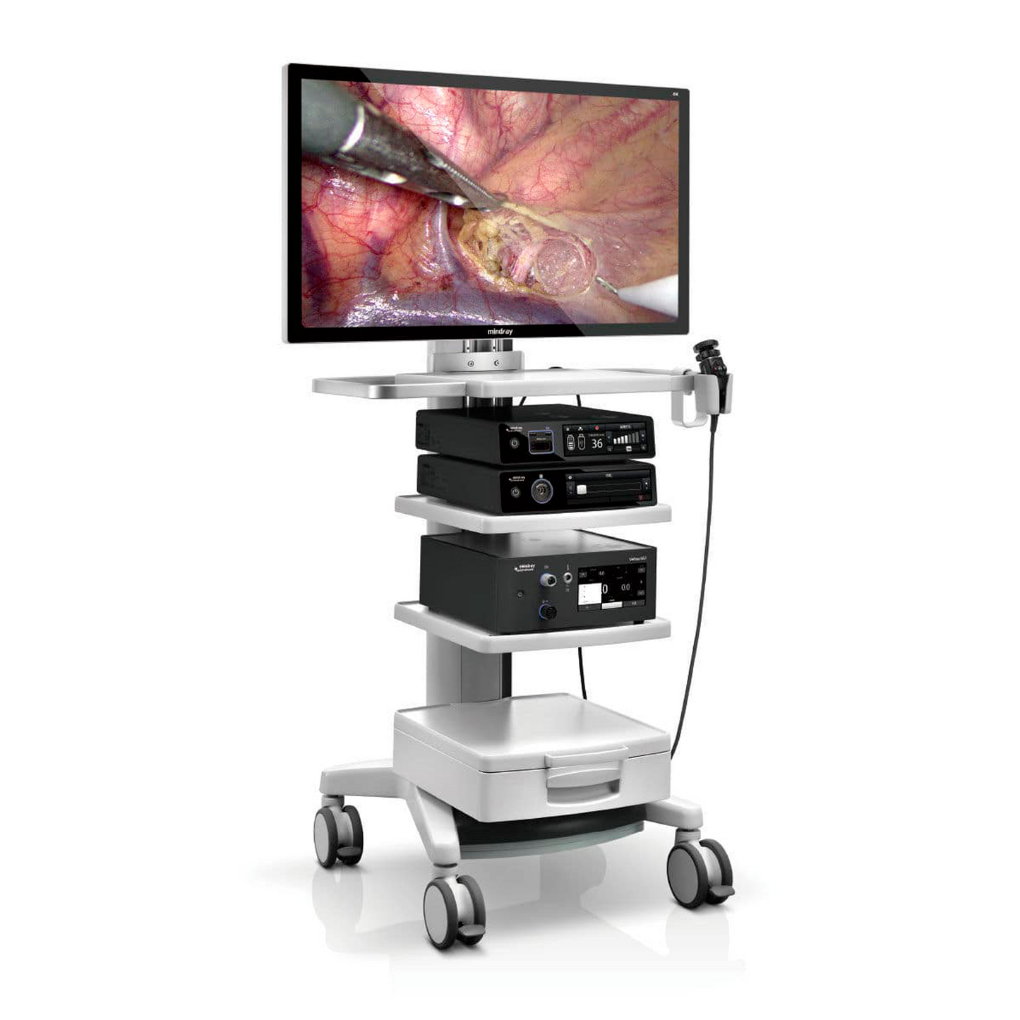 equipo de endoscopio estacionario de excelente calidad de sus imágenes, que proyecta los tejidos y órganos en color real. 